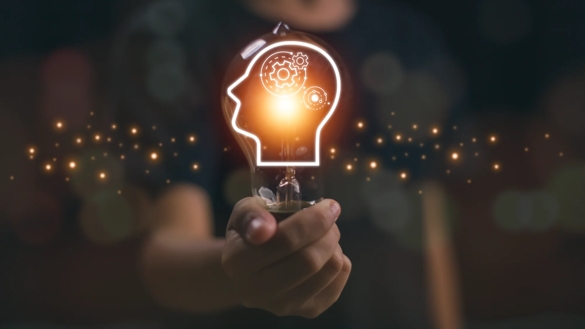 Individualised Understanding