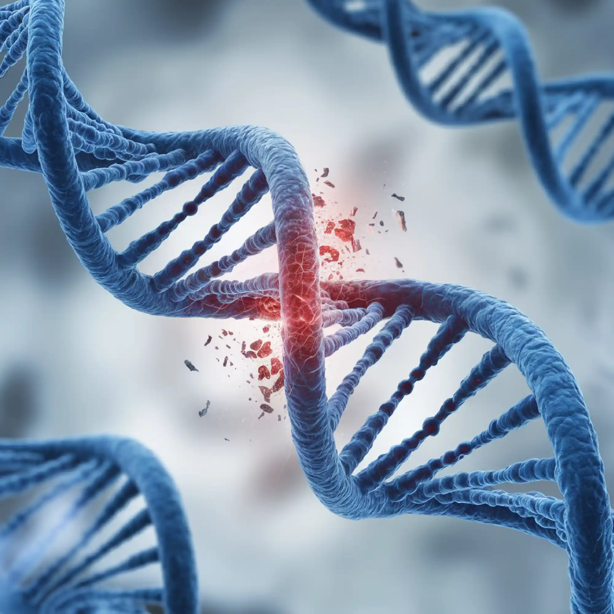 Genetic Syndromes