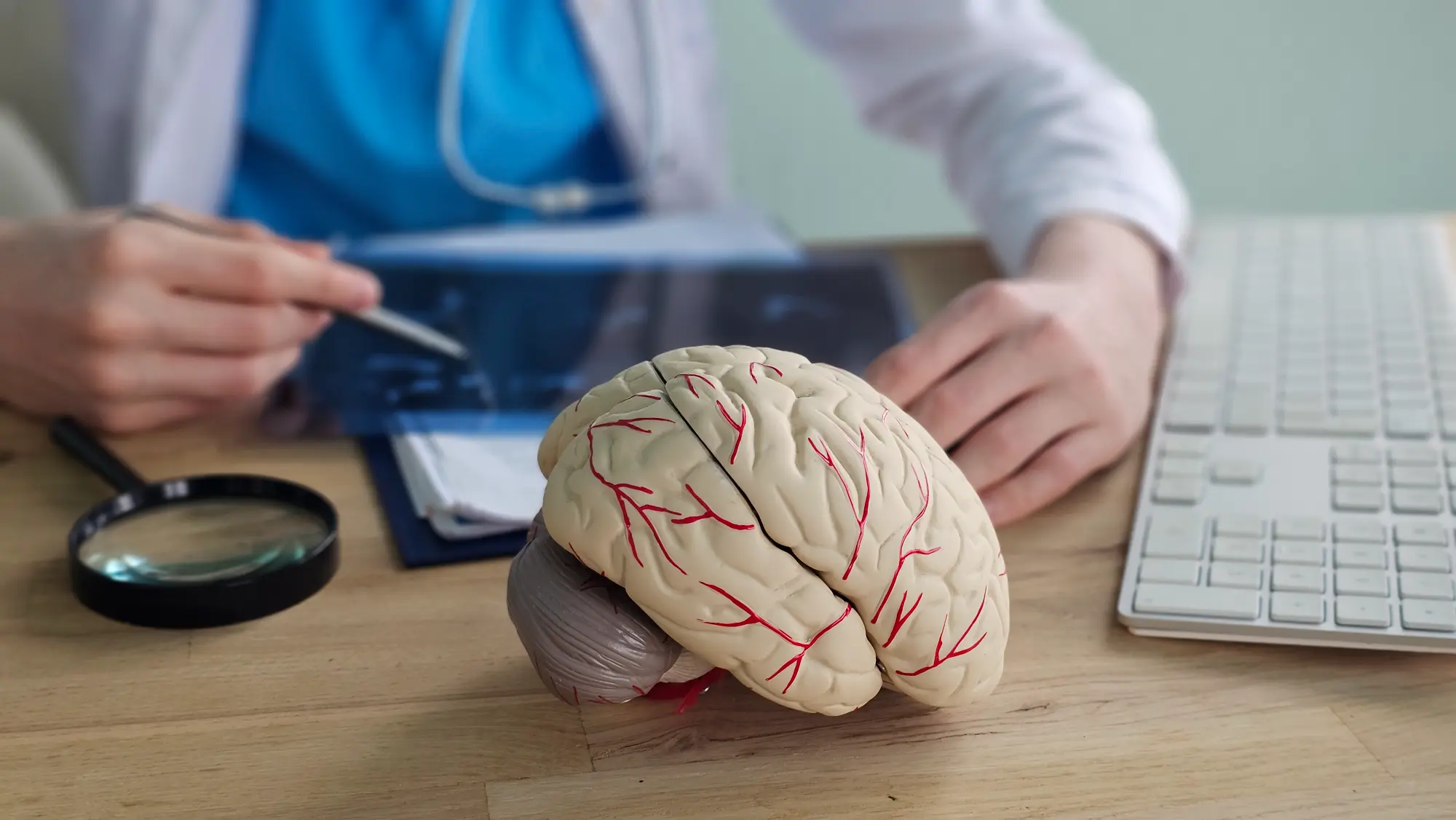 Seizure & Epilepsy Management