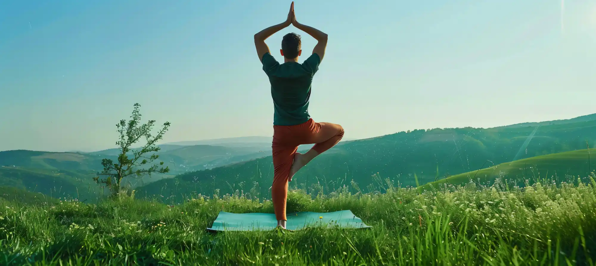 Body Movement Therapies